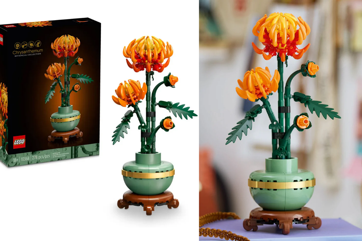 chau-hoa-lego-trung-bay-dep-cho-can-ho-phong-cach-toi-gian